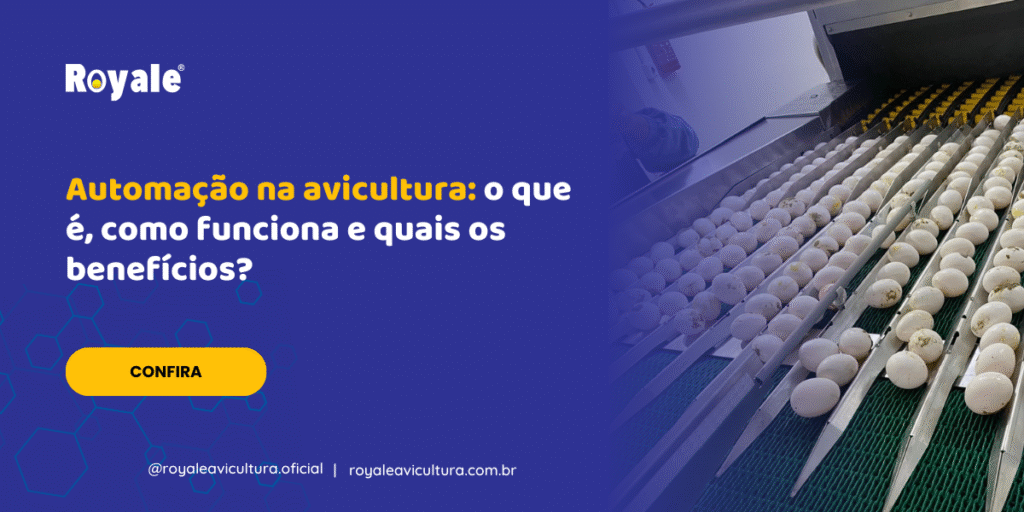 Automação na avicultura o que é, como funciona e quais os benefícios
