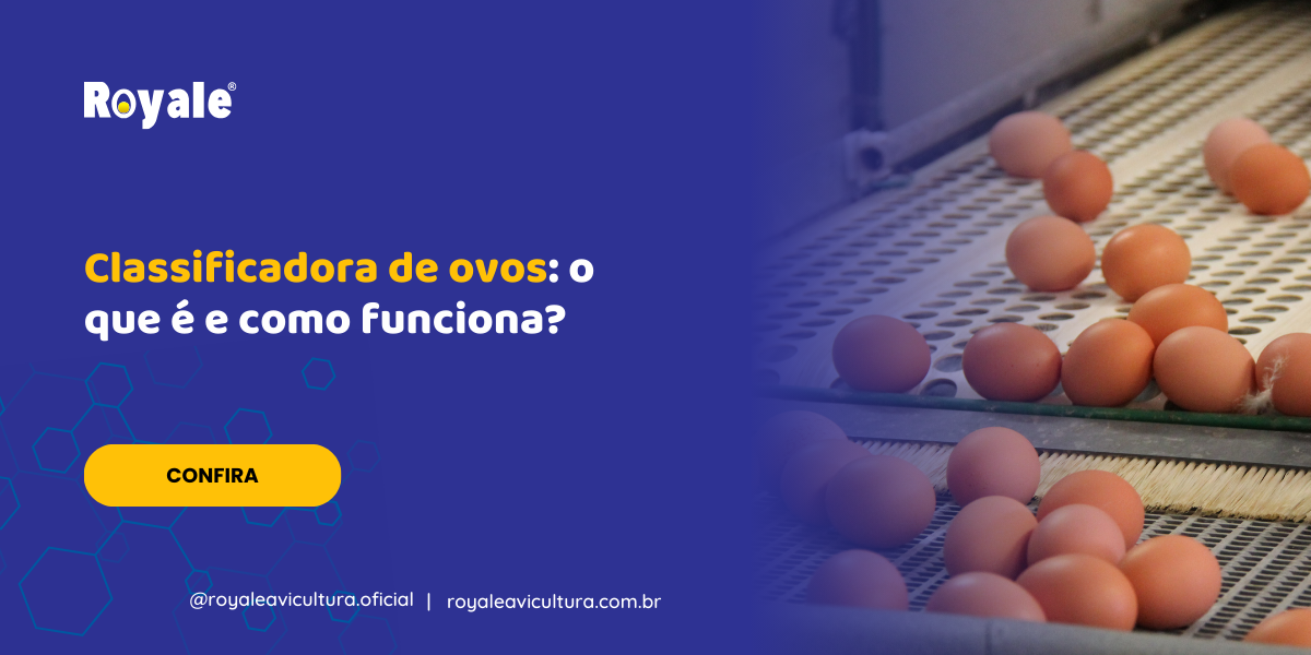 Classificadora de ovos o que é e como funciona