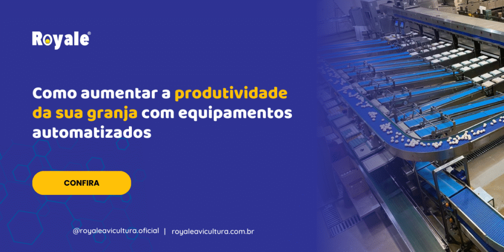 Como aumentar a produtividade da sua granja com equipamentos automatizados