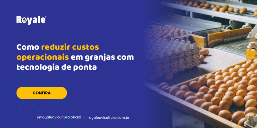 Como reduzir custos operacionais em granjas com tecnologia de ponta