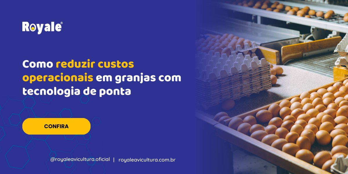 Como reduzir custos operacionais em granjas com tecnologia de ponta