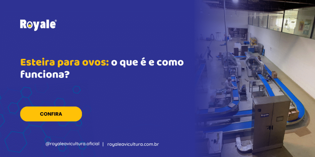 Esteira para ovos o que é e como funciona
