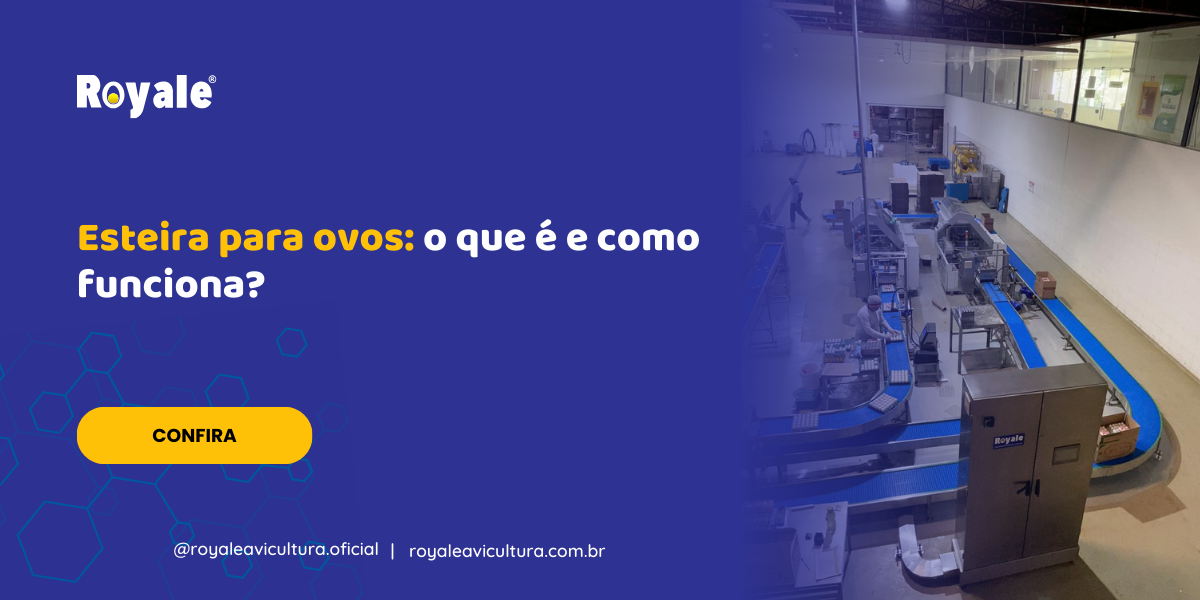 Esteira para ovos o que é e como funciona