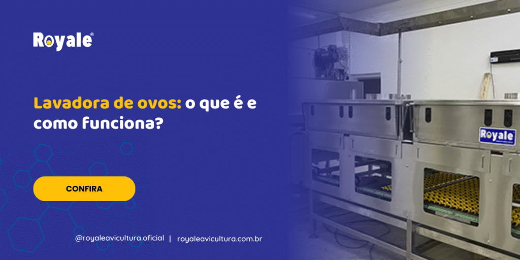Lavadora de ovos o que é e como funciona