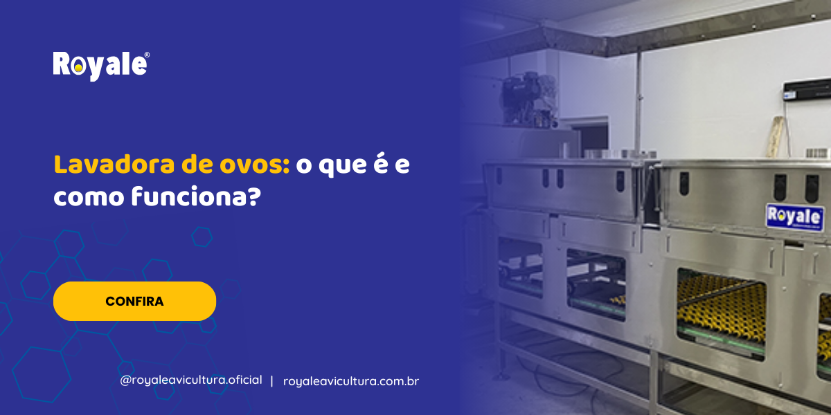 Lavadora de ovos o que é e como funciona