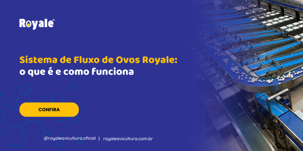 Sistema de Fluxo de Ovos Royale o que é e como funciona